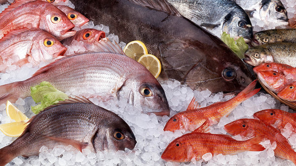 Fresh vs. Frozen Seafood: Which Is Better for Your Dinner Table?